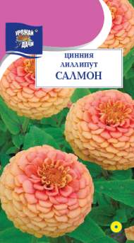 Цинния Лиллипут салмон (урожай удачи) 0,3 гр