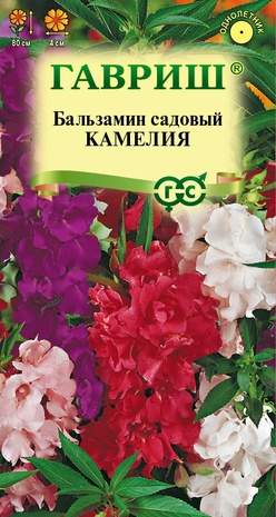 Бальзамин Камелия (гавриш) 0,1гр Бальзамин Камелия (гавриш) 0,1гр