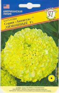 Бархатцы Антигуа F1 лимонные (престиж) 5 шт Бархатцы Антигуа F1 лимонные (престиж) 5 шт