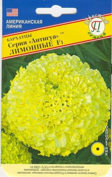 Бархатцы Антигуа F1 лимонные (престиж) 5 шт – купить в г. Омск Бархатцы Антигуа F1 лимонные (престиж) 5 шт – купить в г. Омск