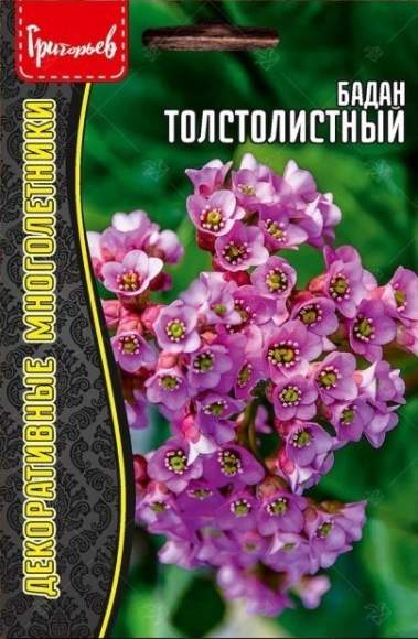 Бадан Толстолистный (Григорьев) 0,01 гр  – купить в г. Омск