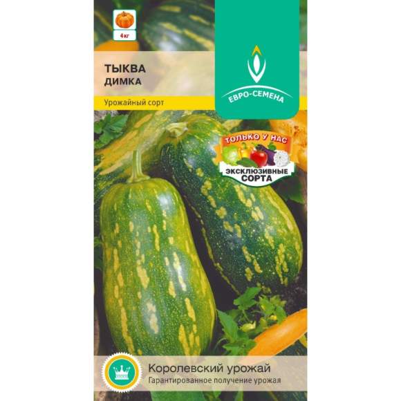 Тыква Димка (евро семена) 10шт  – купить в г. Омск