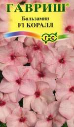 Бальзамин Коралл уоллера 4шт (г) Бальзамин Коралл уоллера 4шт (г)