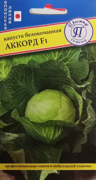 Капуста белокочанная Аккорд F1 (престиж) 10 шт  – купить в г. Омск