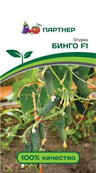 Огурец Бинго F1 (партнер) 5 шт  – купить в г. Омск