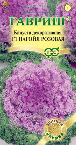 Капуста декоративная Нагойя розовая F1 (гавриш) 6 шт – купить в г. Омск Капуста декоративная Нагойя розовая F1 (гавриш) 6 шт – купить в г. Омск