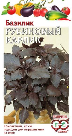 Базилик Рубиновый карлик (г) 0,1гр  – купить в г. Омск