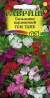 Бальзамин Том тамб (гавриш) 0,1гр  – купить в г. Омск