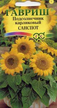 Подсолнух декоративный Санспот (гавриш) 0,5 гр Подсолнух декоративный Санспот (гавриш) 0,5 гр