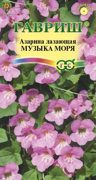 Азарина Музыка моря (г) 4шт  – купить в г. Омск