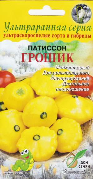 Патиссон Грошик (дом семян) 5 шт  – купить в г. Омск