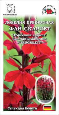 Лобелия Фан скарлет (зса) 5 шт многолетняя 