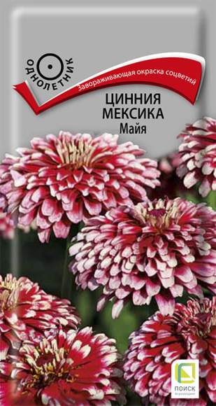 Цинния Мексика Майя (поиск) 10 шт  – купить в г. Омск