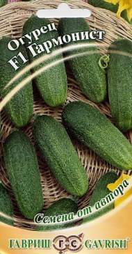 Огурец Гармонист F1 (гавриш) 10шт Огурец Гармонист F1 (гавриш) 10шт