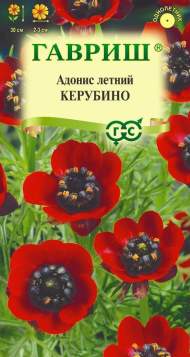 Адонис Керубино (гавриш) 0,1гр Адонис Керубино (гавриш) 0,1гр