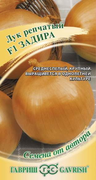 Лук репчатый Задира F1 (гавриш) 1,0гр  – купить в г. Омск