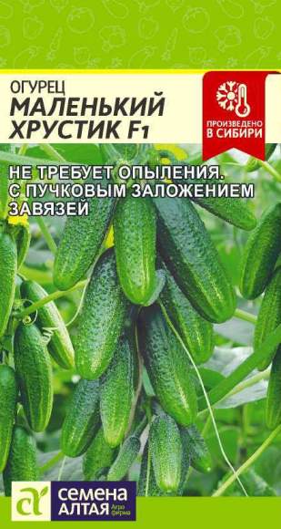 Огурец Маленький хрустик F1 (семена Алтая) 6шт  – купить в г. Омск