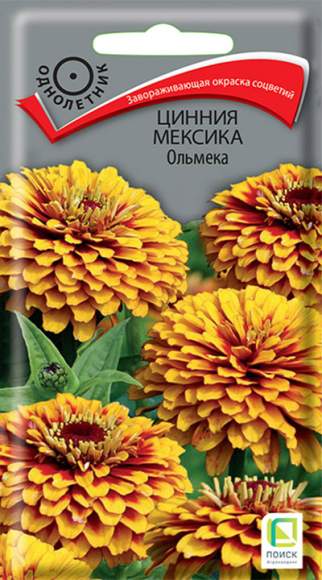 Цинния Мексика Ольмека (поиск) 10шт  – купить в г. Омск
