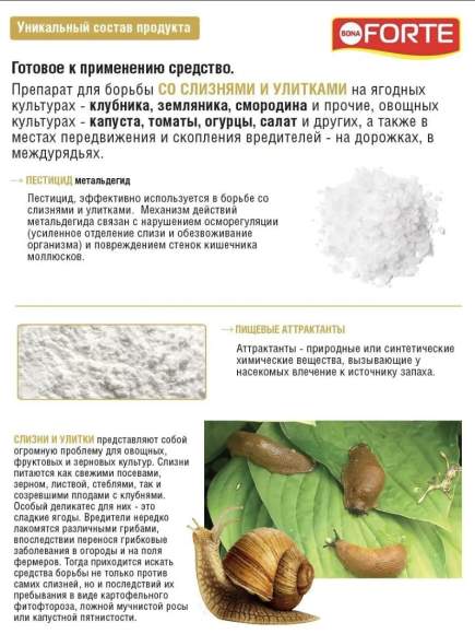 Средство от улиток и слизней 0,3 кг (Форте,банка)  – купить в г. Омск