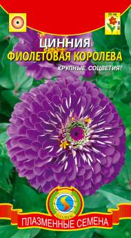 Цинния Фиолетовая королева (плазмас) 0,3 гр Цинния Фиолетовая королева (плазмас) 0,3 гр