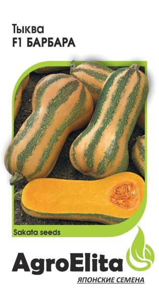Тыква Барбара F1 (агроэлита) 5шт (sakata)  – купить в г. Омск