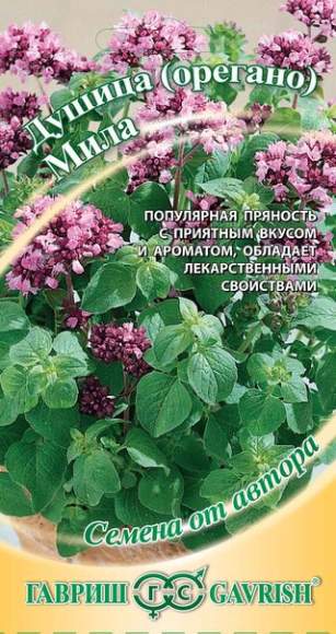 Душица Мила (гавриш) 0,1 гр  – купить в г. Омск