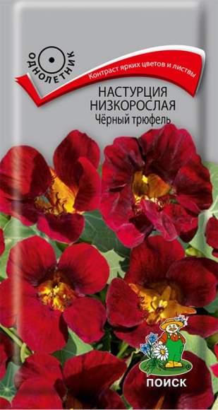 Настурция низкорослая Черный трюфель (поиск) 1,0 гр  – купить в г. Омск