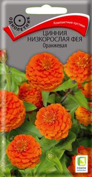 Цинния низкорослая Фея оранжевая (поиск) 0,1 гр