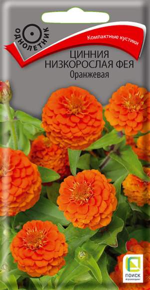 Цинния низкорослая Фея оранжевая (поиск) 0,1 гр  – купить в г. Омск