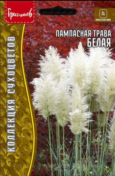 Кортадерия Белая (пампасная трава) (Григорьев) 0,01гр  – купить в г. Омск