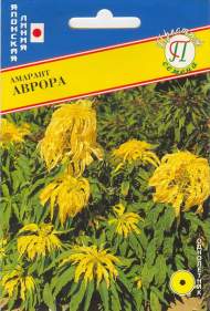Амарант Аврора (престиж) 25 шт (sakata) Амарант Аврора (престиж) 25 шт (sakata)