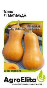 Тыква Матильда F1 (агроэлита) 5 шт (Enza Zaden)  – купить в г. Омск