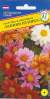 Георгина изменчивая Рання пташка (престиж) 20 шт  – купить в г. Омск