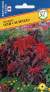 Амарант Оли Сплендэ (престиж) 25 шт (sakata)  – купить в г. Омск