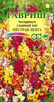 Антирринум (львиный зев) Пестрая лента (гавриш) 0,05гр