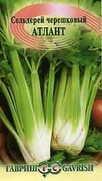 Сельдерей черешковый Атлант (гавриш) 0,1 гр  – купить в г. Омск