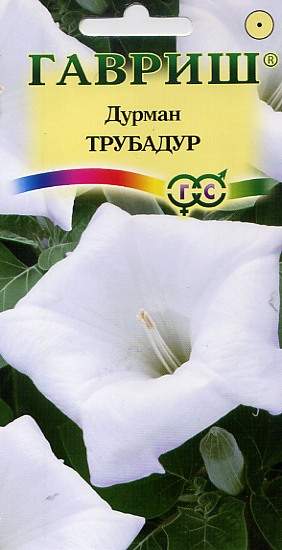 Дурман древовидный Трубадур (гавриш) 0,3гр  – купить в г. Омск