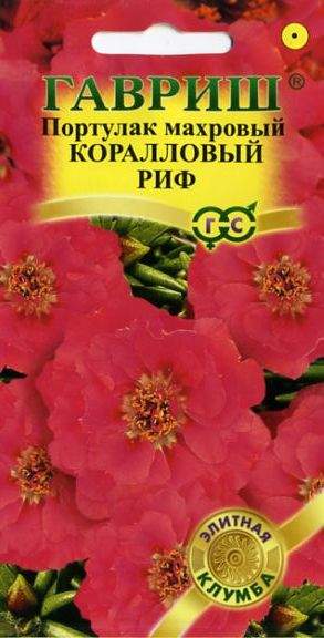 Портулак Коралловый риф (гавриш) 0,01гр  – купить в г. Омск