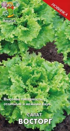 Салат листовой Восторг (поиск) 1,0 гр – купить в г. Омск Салат листовой Восторг (поиск) 1,0 гр – купить в г. Омск