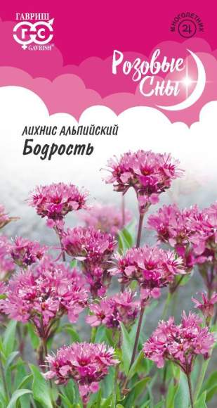 Лихнис альпийский Бодрость (гавриш) 0,05гр  – купить в г. Омск