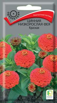 Цинния низкорослая Фея красная (поиск) 0,1 гр Цинния низкорослая Фея красная (поиск) 0,1 гр