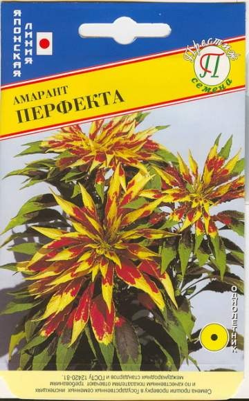 Амарант Перфекта (престиж) 25 шт (sakata)  – купить в г. Омск