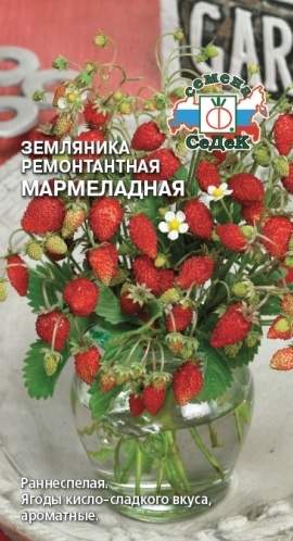 Земляника Мармеладная (седек) 0,04 гр – купить в г. Омск Земляника Мармеладная (седек) 0,04 гр – купить в г. Омск