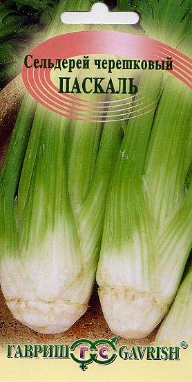 Сельдерей черешковый Паскаль (гавриш) 0,1 гр  – купить в г. Омск