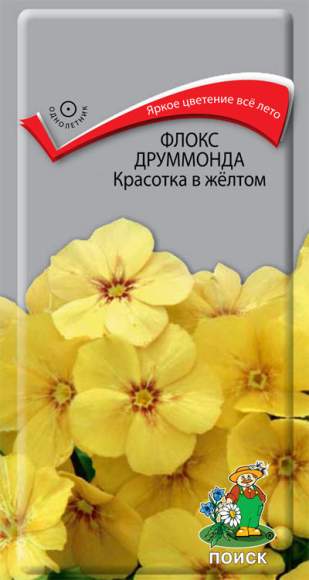 Флокс друммонда Красотка в желтом (поиск) 0,1 гр  – купить в г. Омск