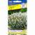 Лаванда узколистная Сцент белая (престиж) 5 шт  – купить в г. Омск