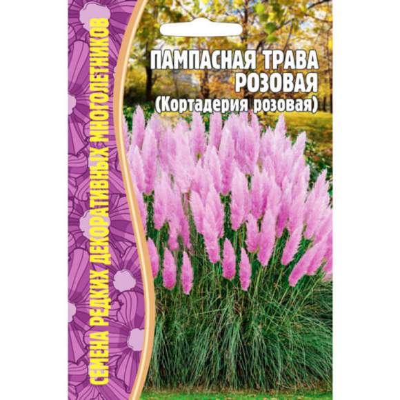 Кортадерия Розовая (пампасная трава) (Григорьев) 0,01 гр – купить в г. Омск Кортадерия Розовая (пампасная трава) (Григорьев) 0,01 гр – купить в г. Омск