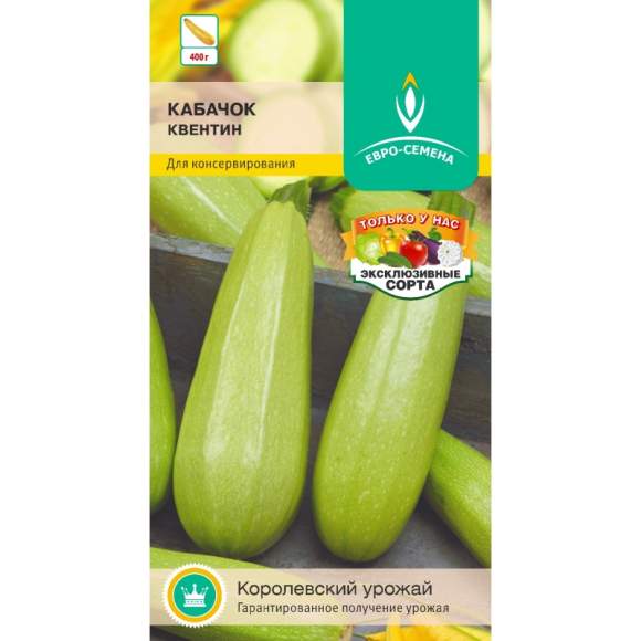 Кабачок Квентин (евро семена) 10шт  – купить в г. Омск