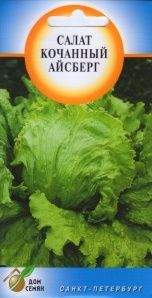 Салат кочанный Айсберг (дс) 450шт