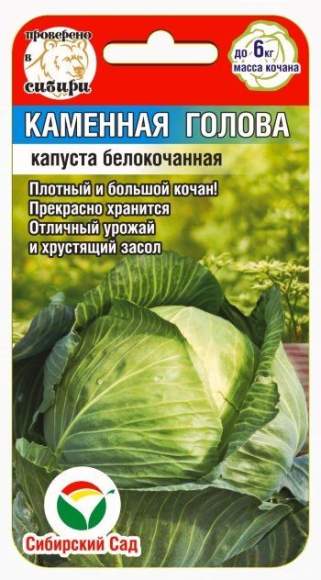 Капуста б/к Каменная голова (сибирский сад) 0,3гр  – купить в г. Омск